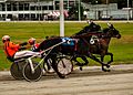 Standardbred horses racing