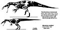 Suchomimus and Baryonyx