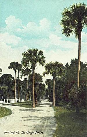 The Village Street, Ormond, FL