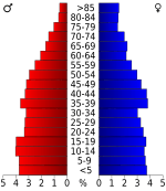 USA Hempstead County, Arkansas age pyramid