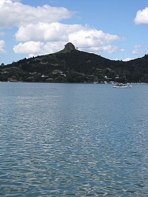 Whangaroa Harbour3