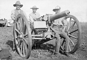 AustralianTroopsWithQF1pounderBoerWar