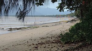 Beach at Holloways Beach, 2018 02