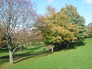 Belmont Park (geograph 3731492)