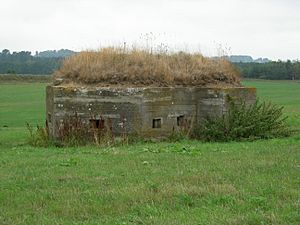 Bickerton Pillbox