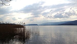 Bielersee bei Hagneckkanal