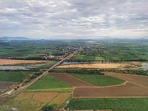 Burdekin River (13)-01(1)