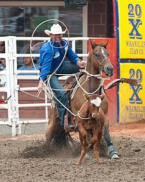 Calf Roping Szmurlo