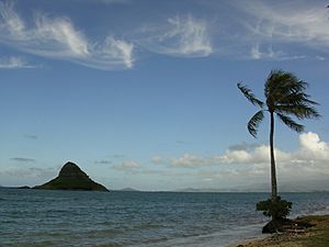 Chinaman's Hat - Mokoliʻi (O'ahu)