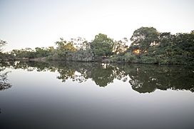 Coleman river 1 (14914507522).jpg