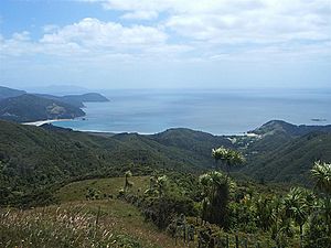 Coromandel Waikawau Bay