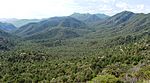 Mountains and forest west of Paradise, Arizona.