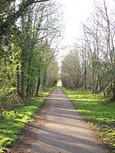 Cycletrack