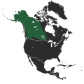 Distribution of Mackenzie Valley Wolf