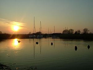 Dorset Wareham Frome Estuary