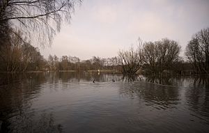 Duttons Pond Flixton Manchester