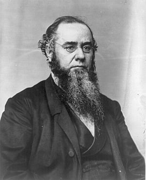 Edwin Stanton, head-and-shoulders portrait