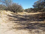 Fairbank-San Pedro River