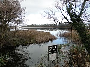 Filby Broad geograph 2195241.jpg