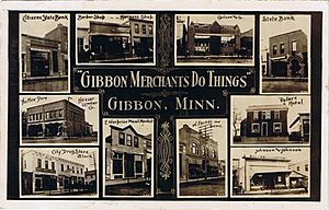 Gibbon MN