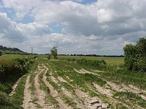 Icknield Way, Lewknor