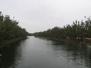 LoddonRiverBridgewater