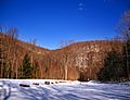 Loyalsock State Forest