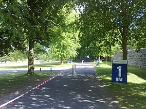 Lurgan Park Fun Run June 2008