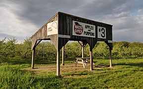 Mack's Apples apple orchard shed