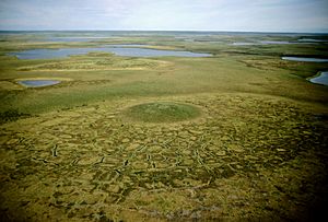 Mackenzie Delta Ice-Wedge Tuktoyaktuk Pingo