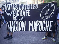 Matias Catrileo cartel protesta