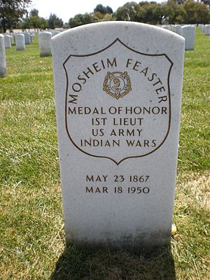 Mosheim Feaster headstone front.JPG