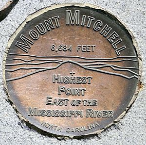 MountMitchellSurveyorsMark