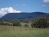 Mount Chinghee at Running Creek, Queensland.jpg