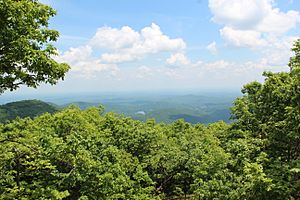 Mount Oglethorpe view