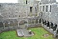 Moyne Abbey 0308