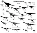 Oviraptorosauria