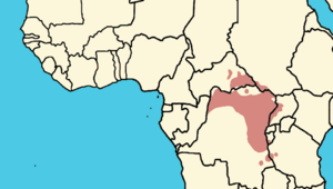 Pan troglodytes schweinfurthii area.png