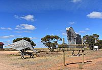 Patchewollock Big Mallee Fowl 003.JPG