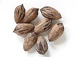 Pecans-4352.jpg