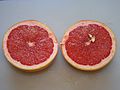 Pink Grapefruit 2011-1