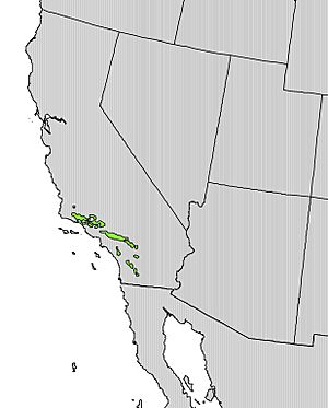 Pseudotsuga macrocarpa range map.jpg