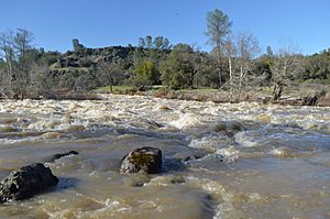 Putah Creek High Flows