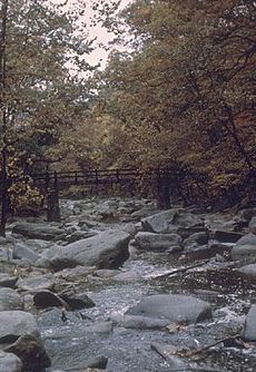 Rock-Creek-Park.jpg