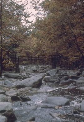 Rock-Creek-Park