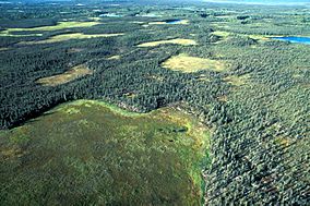 Selawik Refuge Wetlands.jpg