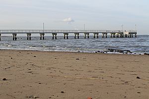 Beach and pier at Woodland Beach