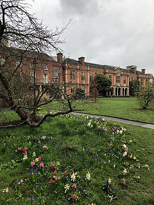 Somerville College Library with hyacinths
