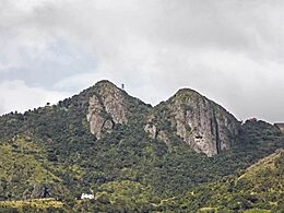 Tetas de Cayey