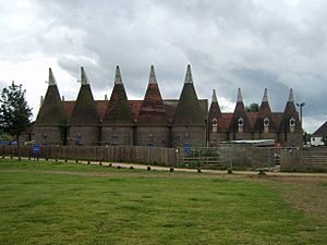 The Hop Farm Country Park.jpg